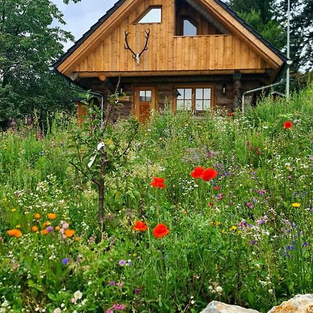 Blockhaus Panhuette Villa Braunlage Exteriör bild