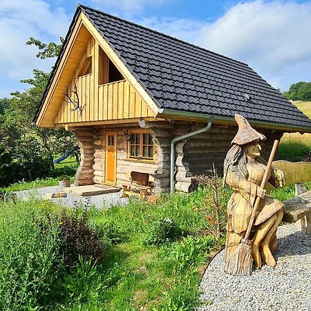 Blockhaus Panhuette Villa Braunlage Exteriör bild