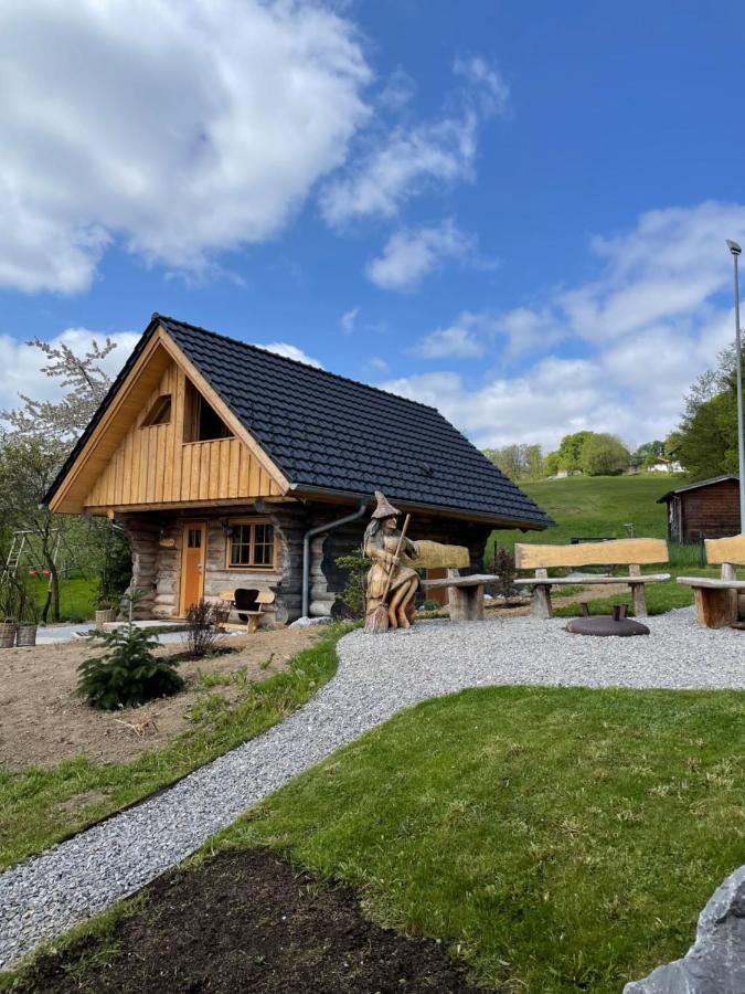 Blockhaus Panhuette Villa Braunlage Exteriör bild