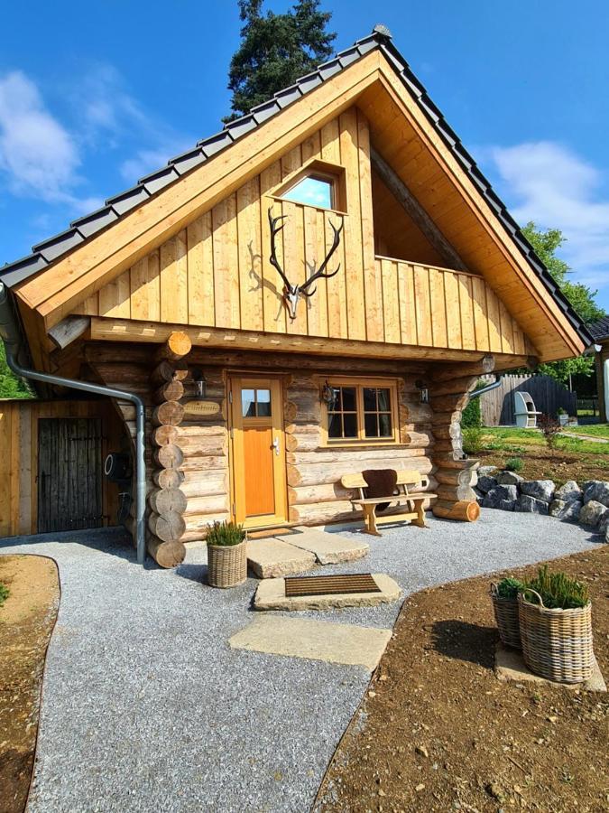 Blockhaus Panhuette Villa Braunlage Exteriör bild