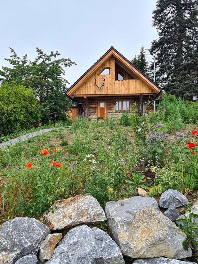 Blockhaus Panhuette Villa Braunlage Exteriör bild