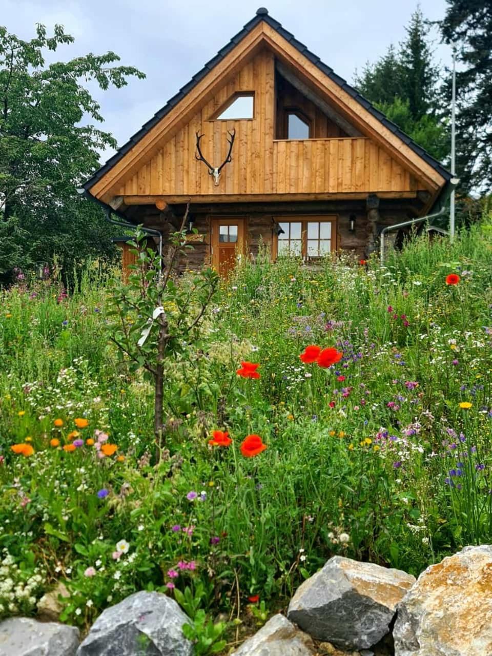 Blockhaus Panhuette Villa Braunlage Exteriör bild