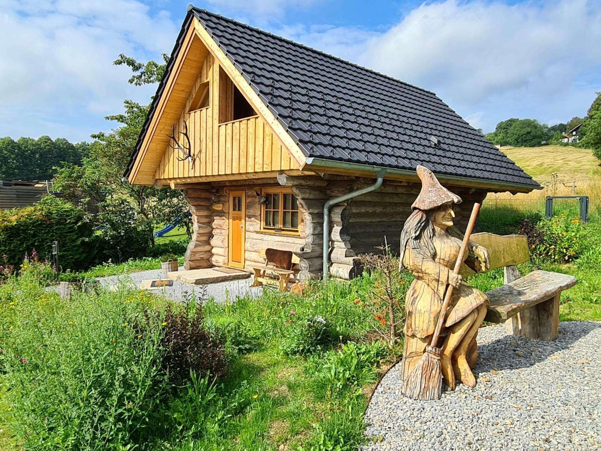 Blockhaus Panhuette Villa Braunlage Exteriör bild